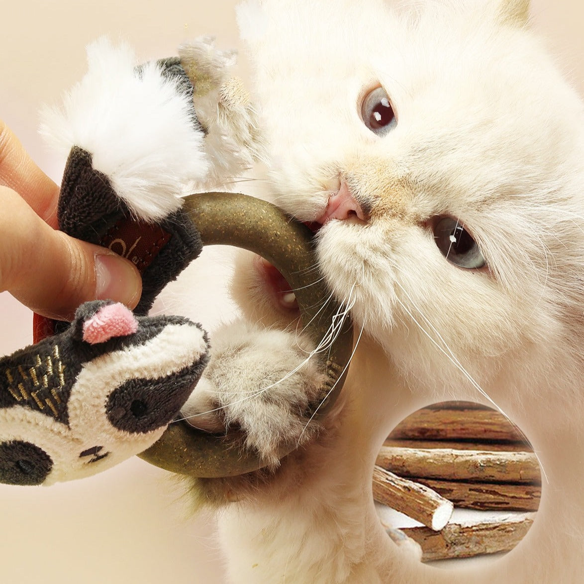 ECO CATCH & SCRATCH SILVERVINE RING CAT TOY