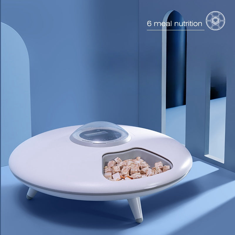 Pet Food Dispenser