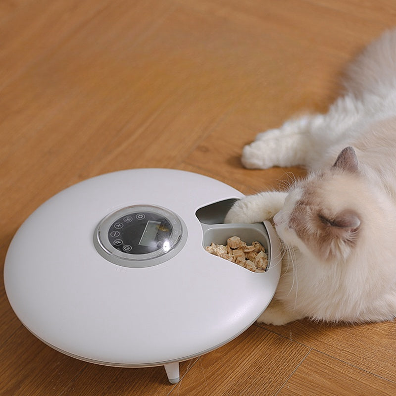 Pet Food Dispenser