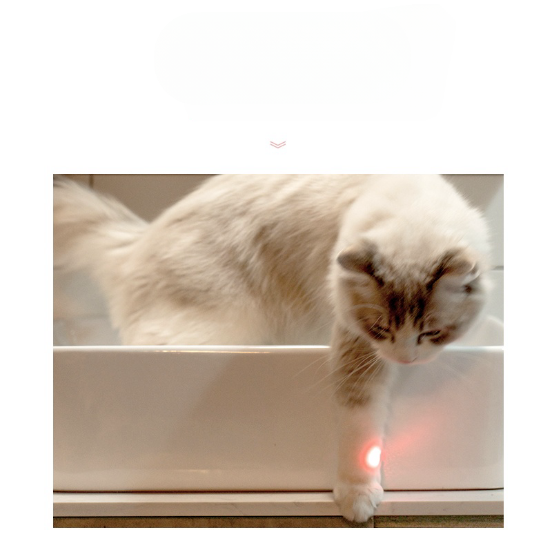 Double-end Laser Cat Teaser Interactive Training Pen for Cat Dogs